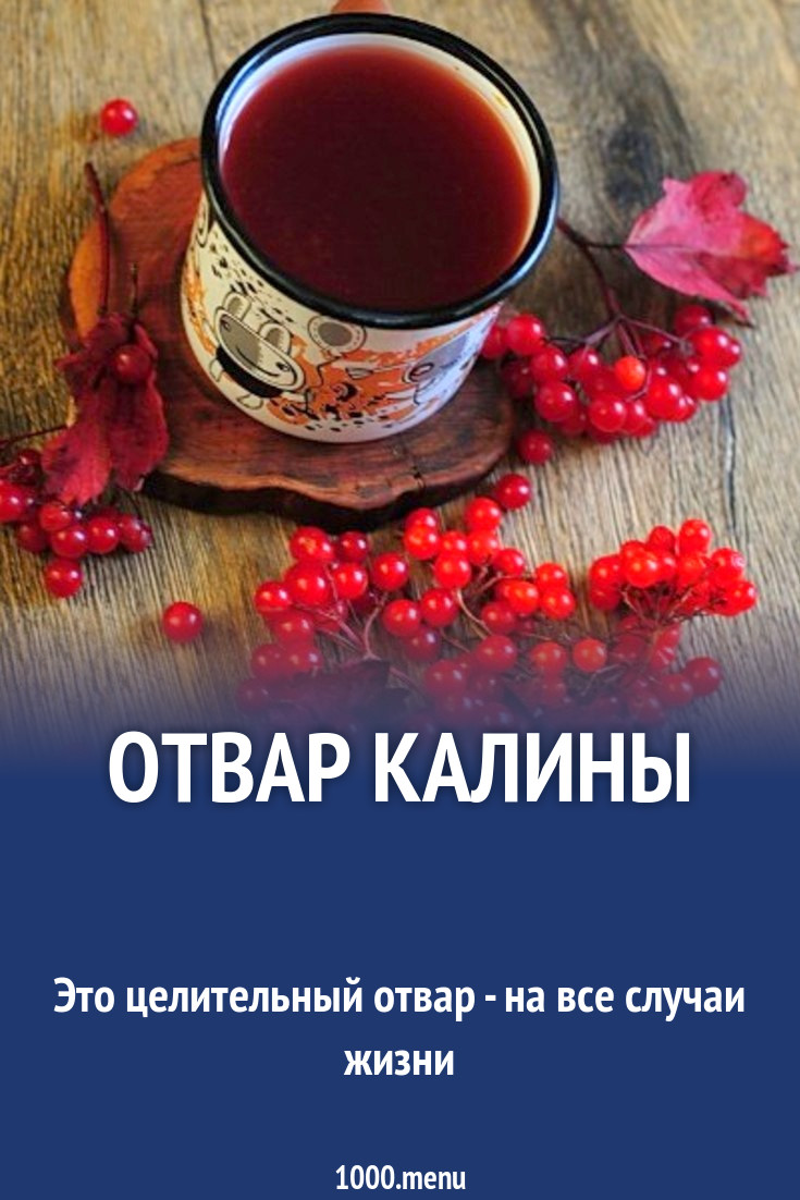 Отвар калины