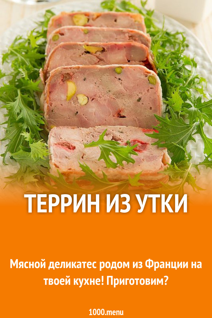 Террин из утки