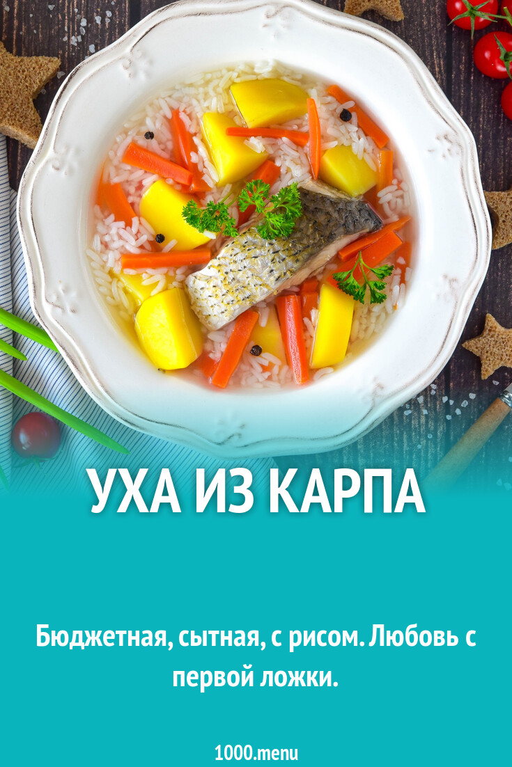 Уха из карпа